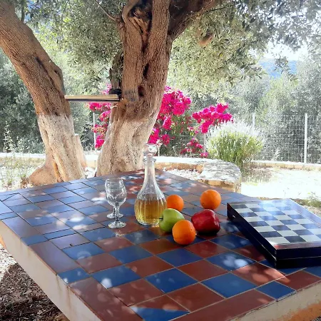 Olivetree House Holiday home Vathy (Ithaca)