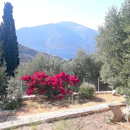 Holiday home Olivetree House
