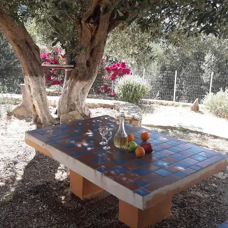 Olivetree House Holiday home