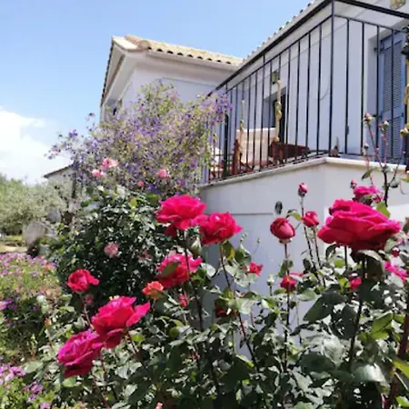 Olivetree House *