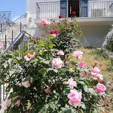 Olivetree House *