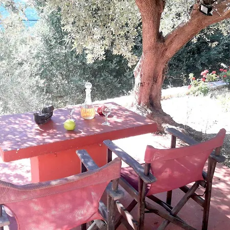 Olivetree House Vakantiehuis *
