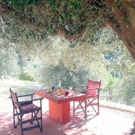 Olivetree House Vakantiehuis *