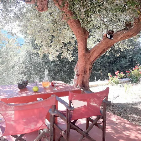 Holiday home Olivetree House Vathy (Ithaca)