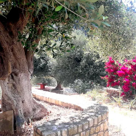 Olivetree House Holiday home